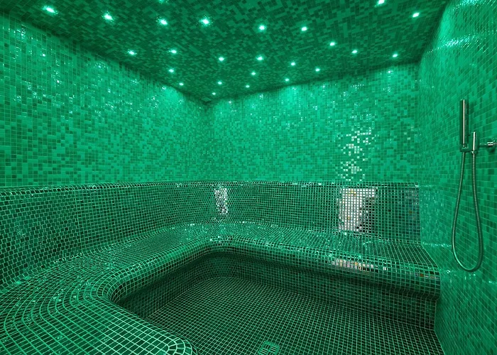 호텔 Wellness Queens 4*